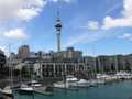 Viaduct Sky Tower landscape